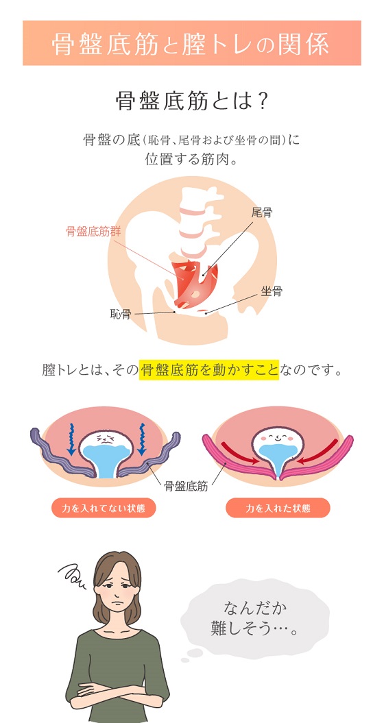 ラボネッツ 骨盤底筋エクササイズクッション キュットブル（グリーン