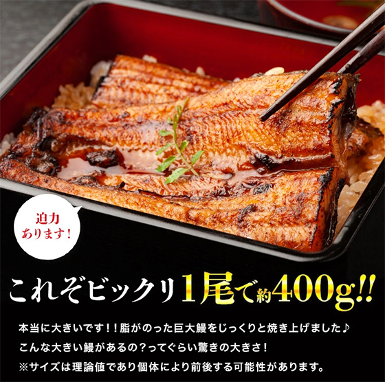 これぞビックリ！！1尾で約400g！！本当に大きいです！！脂がのった巨大うなぎをじっくりと焼き上げました♪