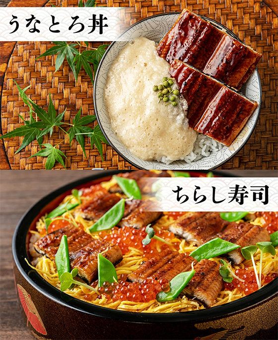 うなとろ丼 ちらし寿司