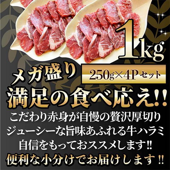 メガ盛り1kg 満足の食べ応え!!