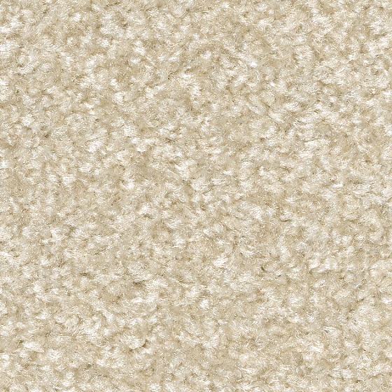 シェル（KIT-1651）