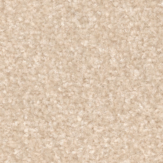 メレンゲ（KIT-1632）