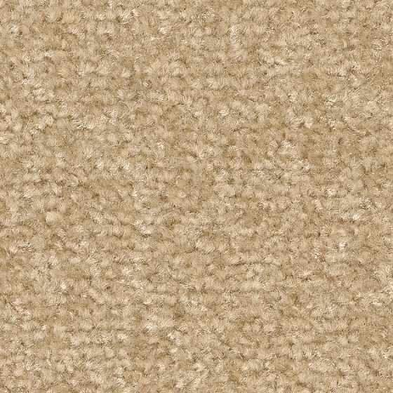 ビスケット（KIT-1633）