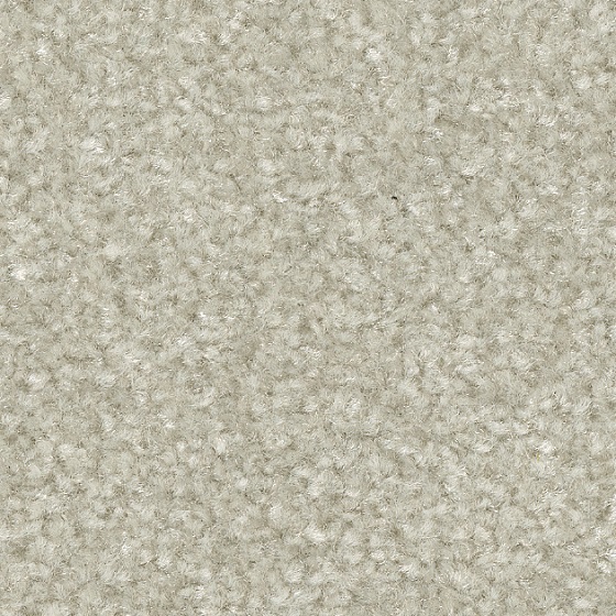 ソルト（KIT-1635）