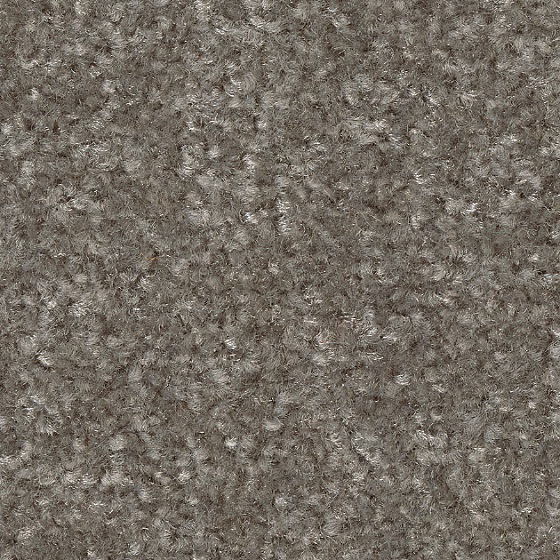 ペッパー（KIT-1636）