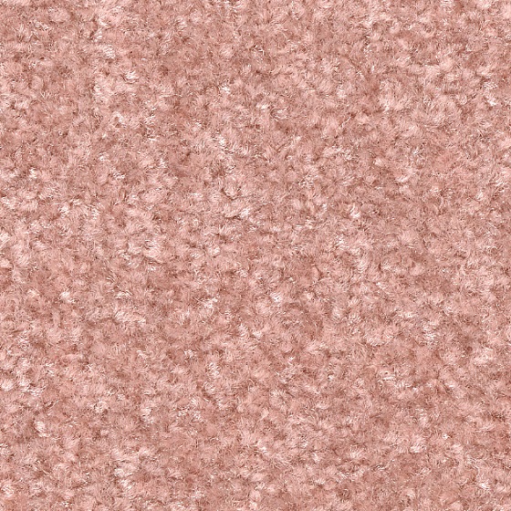 モモ（KIT-1637）