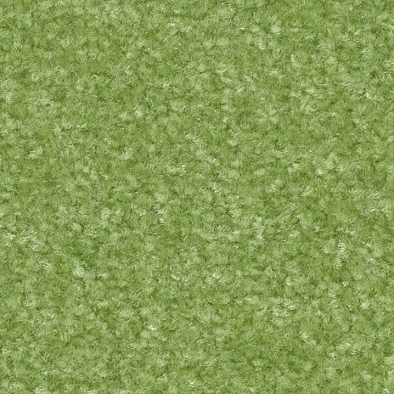 ワサビ（KIT-1640）