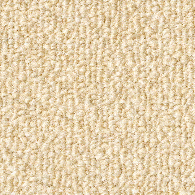 あるぱか（KIT-1602）