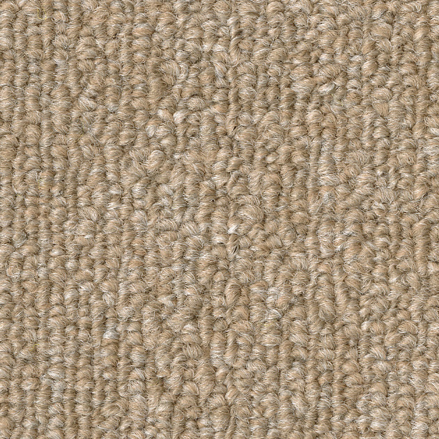 らくだ（KIT-1603）