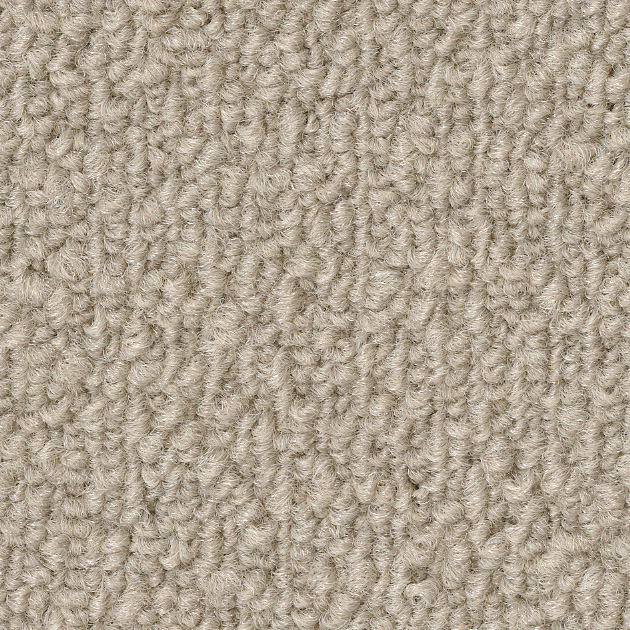 さい（KIT-1605）