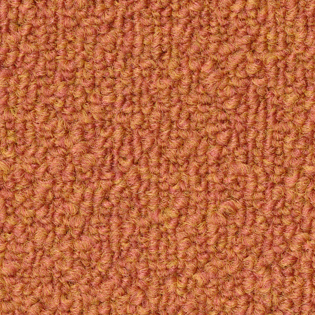 くまのみ（KIT-1608）