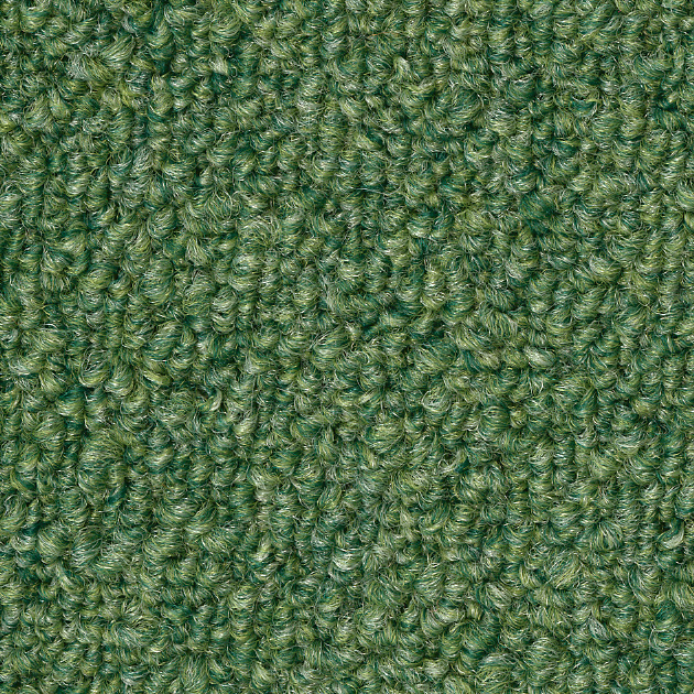 わに（KIT-1609）