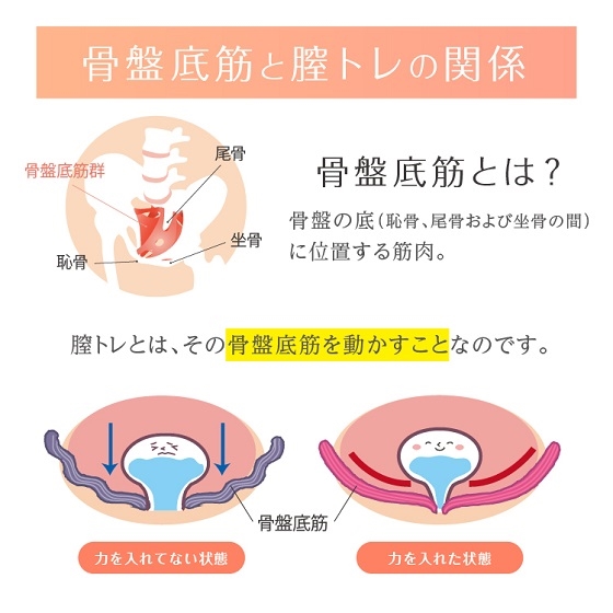 ラボネッツ 骨盤底筋エクササイズクッション キュットブル