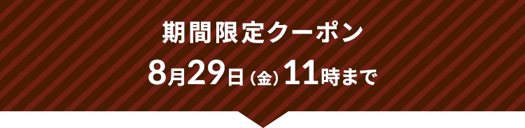 期間限定クーポン8月29日(金)11時まで